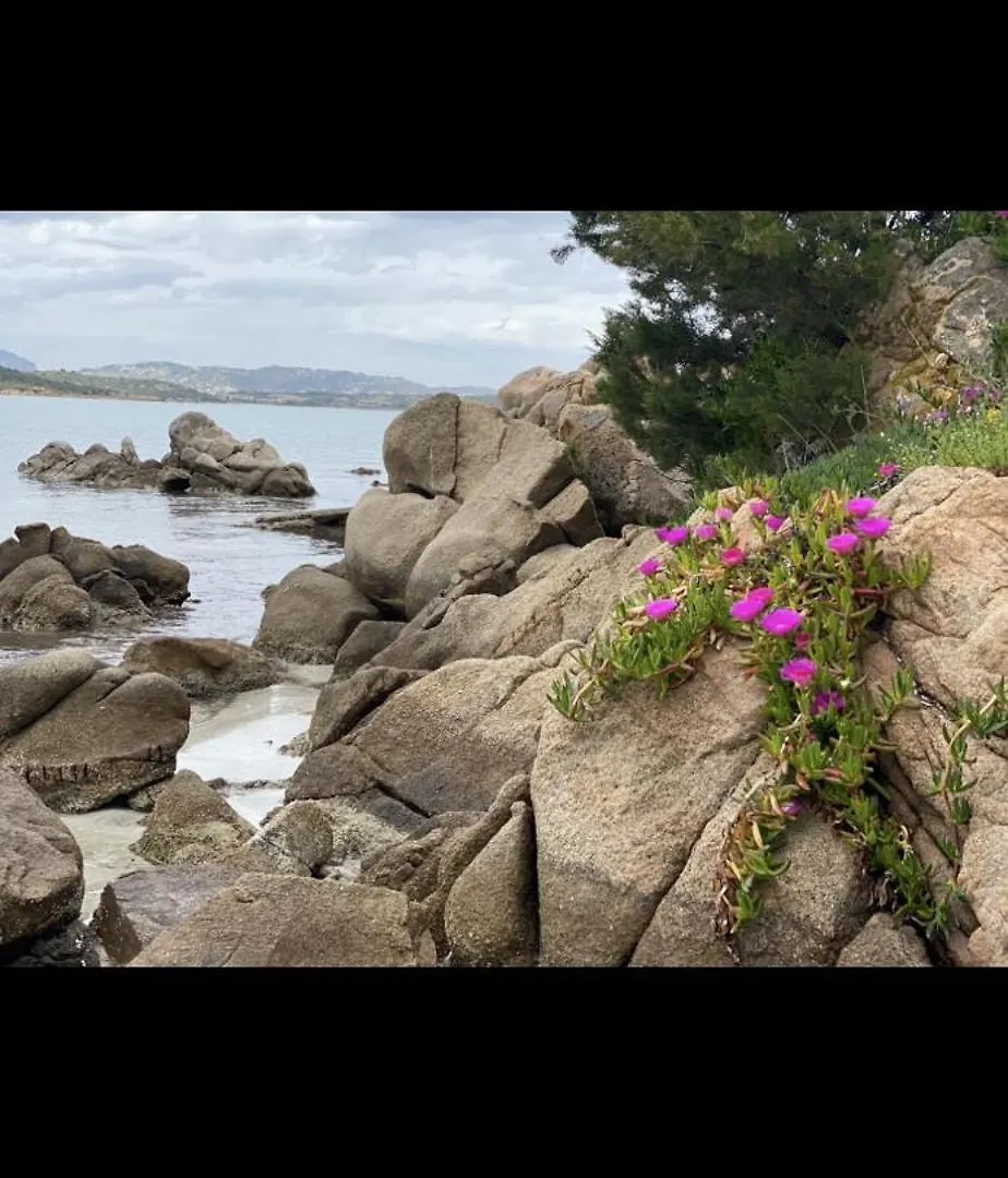 Residence Bouganville Porto Rotondo 0*,  Italy